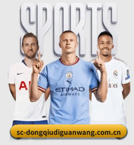 懂球帝的故事(dqd)